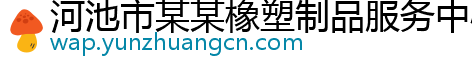 河池市某某橡塑制品服务中心